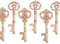 Makhry Misti 20 Apribottiglie Extra Grande a Forma di Chiave Apribottiglie Antiche in Rame - 2 Stili, 20 Apri Chiave (Oro Rosa)