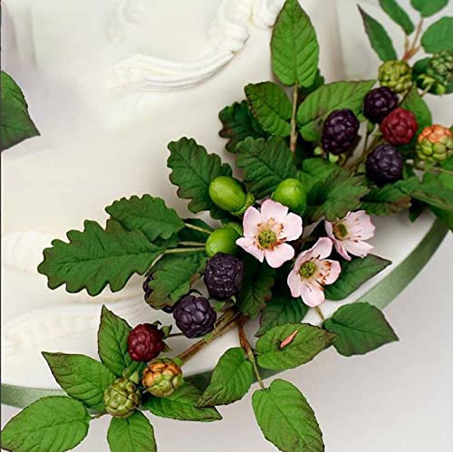 Blatt-Silikonform Rose Blume Fondant Formen DIY Kuchen Dekorieren Werkzeuge Sugarcraft Süßigkeiten Harz Ton Schokolade Blütenpaste-Formen (2 Stück (13 x 13,5 cm, 8,6 x 13,3 cm)