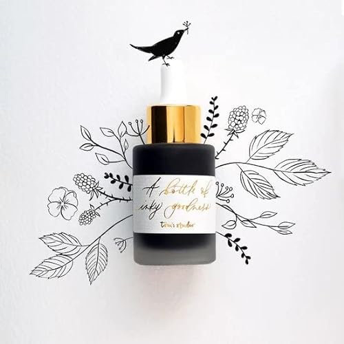Tom’s Studio Calligraphy Ink | (30ml, Jet Black) | Water Resistant Ink for Dip Pens & Brushes, with Pipette | Best for Flourishes, Artwork and Illustrations | Acid Free, Non Toxic & Vegan |