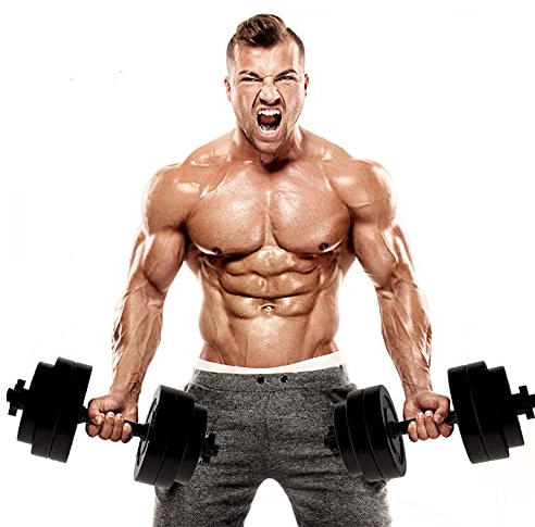 Kurzhanteln Langhanteln Verstellbar, 2 in1 Hanteln Set, Kurz Lang Dumbbell, Einstellbar Hantelstangen Kurzhantelset, 20 kg Gewichten Weights für Aerobic Fitness Gym Training. (schwarz)