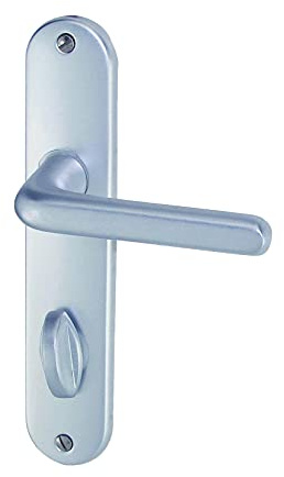 DT 2000 708840 Tignes Poignée de porte sur plaque Alu condamnation 165 mm Argent