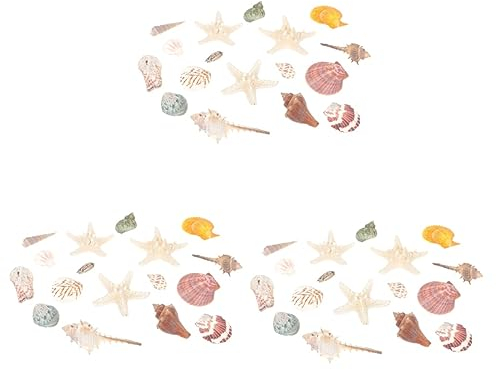 POPETPOP 3 Ensembles Coquille Naturelle Ornements de Coquillages Aquarium décor coquilles Saint- coquilles d'huîtres pour l'artisanat Coquille Blanche Crabe ermite Accessoires