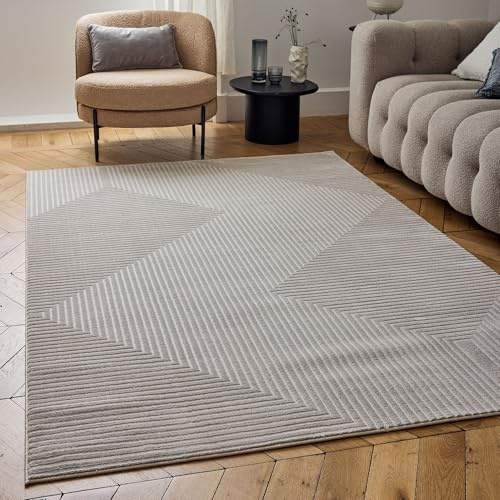 THE RUGS Carmel Modern Area Rug - Stain-Resistant, Non-Shedding, Durable Rugs for Living Room and Bedroom [ Symmetric Beige, 80x150cm ]