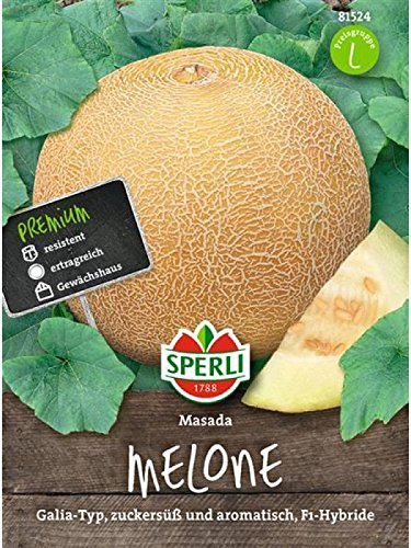 Zuckermelone Masada F1 (Galia-Typ)