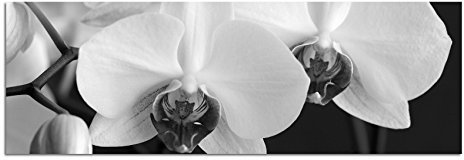Toile Photo comme Panorama Noir/Blanc 150 x 50 cm Orchidée Blanc Fleurs großaufnahme