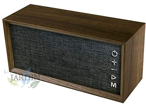 Radio altoparlante vintage nero con Bluetooth 2 subwoofer e batteria al litio