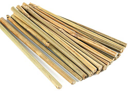 Pllieay natürliche Dicke Bambuspfähle Gartenpfähle Bambusstöcke für Pflanzenunterstützung, 20CM