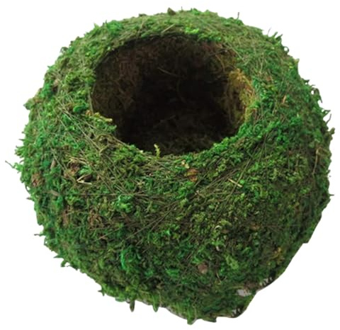 Tadoiooy Moos Ball, 6 Zoll Natural Planter Bonsai Moss Kokedama Blumenkolben Grüne Bonsai Pflanzenhalter für DIY Gartenanbau Home Tischdekoration