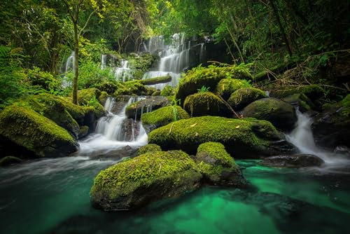 STYLER Glasbild Mundang 120 x 80 cm I Wandbild Bild Glas modern Küche Wohnzimmer Schlafzimmer Badezimmer | Naturmotiv Wasserfall Wald Moos Felsen tropische Landschaft | hochwertige Glasdeko