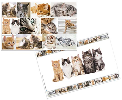 HERMA 19379 Schreibtischunterlage Tiere Katzen, abwischbare Kinder Schreibunterlage aus Karton, 55 x 35 cm, beidseitige Motiv Tischunterlage für Mädchen & Jungen