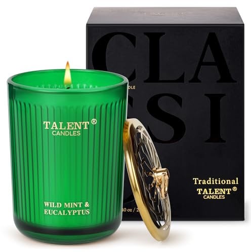 TALENT Duftkerzen, Aromatherapiekerze aus natürlichem Sojawachs, 250 ml, traditioneller Stil, Kerzengeschenke für Frauen und Männer, Heimdekor, Wilde Minze und Eukalyptus