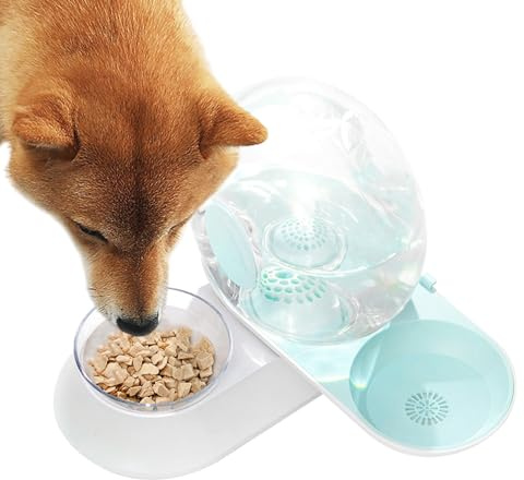 Kustimantu Fontaine à Eau pour Chat,Fontaine à Boire pour Animal en Forme d'Escargot avec Récipient pour Nourriture | Réservoir d'eau pour Chien - pour Chiots Chats et