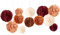 NICROHOME 12 Stück Orange Braun Party Deko, Altmodisch Rot Seidenpapier Pompoms, Tissue Paper Papierblumen für Hochzeitsdeko, Geburtstag, Brautdusche, Babyparty, Verlobungsfeier, Retro Party