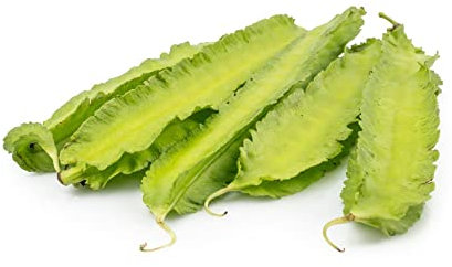 Sachet de graines potagères pois asperges ou lotier pourpre- Les Graines Bocquet