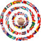 lasuroa 100stk Zahnstochern Flaggen, 6,5x3,5cm Länder-Cupcake-Topper zum Aufkleben Verschiedene Nationen Doppelseitig Länder Fahnen Zahnstocher für Obst-Cocktail-Flaggen-Dekorationen