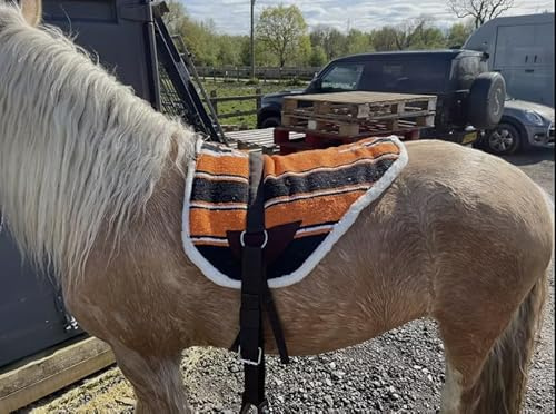 Horse Master Bareback Pad with Free Girth and Stirrups for Horse, Non Slip Sale, Made from Anti Slip Micro Suede, Available in Three Color Comfortable Tack Equipment, Safe (Orange)