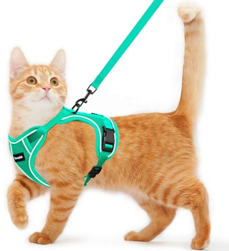 Katzengeschirr und Leine zum Spazierengehen, ausbruchsicher, weich, verstellbar, atmungsaktiv, bequem, einfach zu tragen, Kätzchengeschirr für Outdoor-Reisen, Smaragdgrün, Größe M