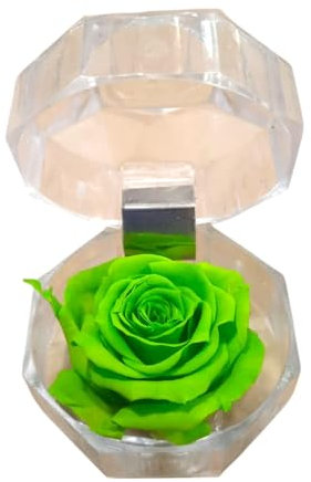Genérico Rosa eterna verde in portagioie. Regalo originale. Rosa verde conservata. Rosa verde naturale preservata. Regali innamorati, compleanni, anniversari, festa della mamma. Fiori conservati.