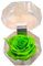 Genérico Rosa eterna verde in portagioie. Regalo originale. Rosa verde conservata. Rosa verde naturale preservata. Regali innamorati, compleanni, anniversari, festa della mamma. Fiori conservati.