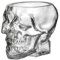 Lnfxkvva Juego de vasos de cristal de calavera de Halloween, copas de vino transparentes para cóctel, whisky, jugo, ideal para decoraciones y regalos de parte Y