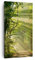Bilder auf Leinwand Wald Baum Natur Leinwandbild mit Rahmen 45x80cm Wandbilder Dekoration Wohnzimmer Schlafzimmer Küche Deko Klein Wanddeko Bild Wand Kunstdruck Art Wall Decor Canvas PA45x80-3661