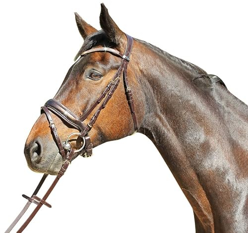 HKM Euroriding Trense Versailles schwedisches Reithalfter mit Lack, Größe:COB, Farbe:Dunkelbraun