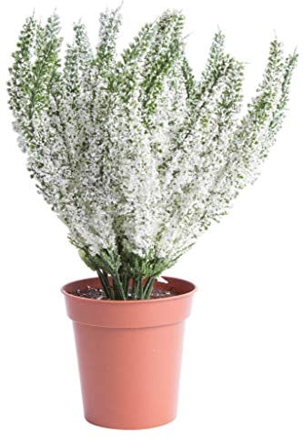 Botanic-Haus künstliche Erika (Heidekraut) in braunem Kunstofftopf (Creme-weiß)
