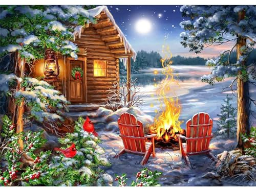 RICUVED Hiver Paysage Peinture Diamant 5D Complet, Diamond Painting Lac Diamant Peinture Point, Kit de Peinture Diamantée Noël DIY pour Adulte, Décoration Murale Decor 30x40cm