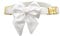 Croci Ceremony Bride Hundehalsband für weibliche Hunde, mit Abnehmbarer Satinschleife, Weiß mit Gold-Details, für kleine, mittelgroße und große Hunde, Größe L/41-66 cm