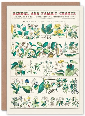 Artery8 Willson and Calkins Art Card Vintage Botanical Chart No XXII