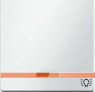Tecla indicador luminoso y símbolo luz, series berker Q.x de hager, blanco polar