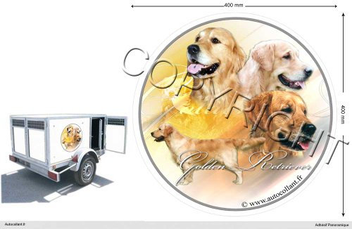 Circular Aufkleber Hund 40 cm Golden Retriever