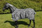Waldhausen Fliegendecke Zebra, 125 cm