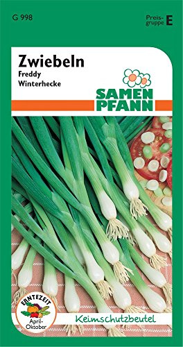 SAMEN PFANN Lauchzwiebel, Winterhecke, Freddy - Gemüse-Samen Saatgut Zwiebel-Samen (Allium fistulosum)