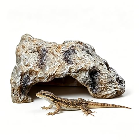 Cueva Natural Hiding PequeñA,Escondite De Reptiles,DecoracióN De Cueva