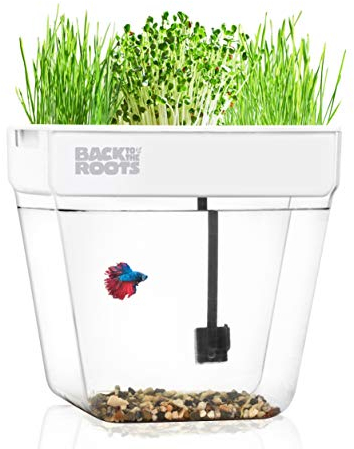 Back to the Roots Indoor Aquaponic Garden – Selbstbewässernder, sauberer Übertopf und selbstreinigendes Aquarium für Kräuter, Microgreens, Bambus, Sukkulenten und Zimmerpflanzen, unterstützt Fische