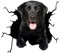BYNYXI 4 Stück Hund Auto Aufkleber, 3D Labrador Aufkleber für Auto Personalisierte Aufkleber Lustige Französische Bulldogge Autoaufkleber Realistische Riss Hund Vinyl Autofenster Aufkleber-30cmx30cm