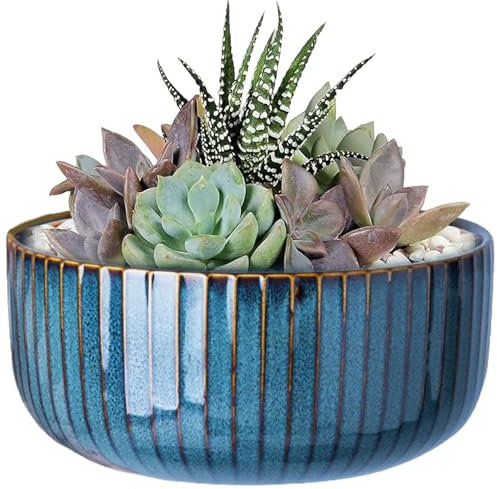 Hperu Pots Succulents en céramique à Rayures glacés, planteurs Ronds de 6x3 Pouces pour bonsaïs et Succulents intérieurs et extérieurs
