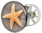 Sanitop-Wingenroth 19497 6 Waschbeckenstöpsel Design Seestern 2 | Abfluss-Stopfen aus Metall | Excenterstopfen | 38 – 40 mm