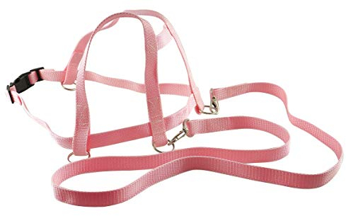 SportFit 675-23 Pferdeleine - Rosa mit Sicherheits-Schnell-Verschluss Pferdchen-Spiel Rollenspiel