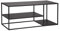 PEGANE Meuble TV en Acier Coloris Noir - Longueur 120 x Profondeur 50 x Hauteur 50 cm