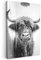 MuchoWow© Leinwandbilder 80x120 cm Wall Art Decoration Bilder für die Wand Badezimmer Toilette Deko Canvas Painting Wanddekoration Wohnzimmer Hochländer - Zeitung - Kuh - WC