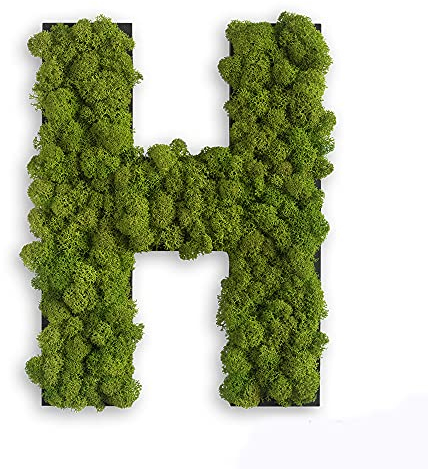 styleGREEN Piktogramm: Buchstabe H Islandmoos
