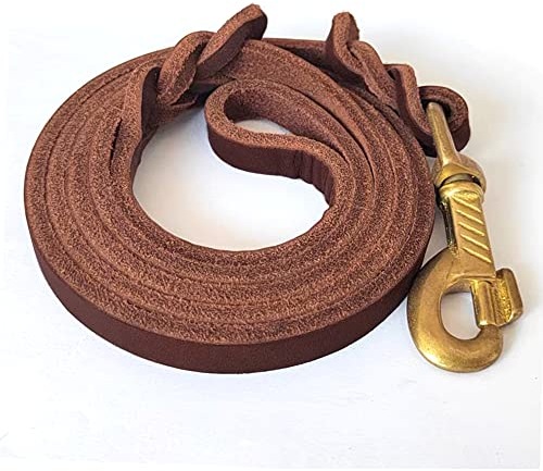 Qianruida Hundeleine Leder Lederleine Hund Klassische Fettlederleine für Kleine Mittelgroße Grosse Hunde - 122cm