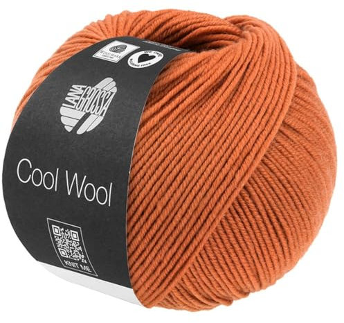 LANA GROSSA Cool Wool Uni | Extrafeine Merinowolle waschmaschinenfest und filzfrei | Handstrickgarn aus 100% Schurwolle (Merino extrafein) | 50g Wolle zum Stricken & Häkeln | 160m Garn FB 2116