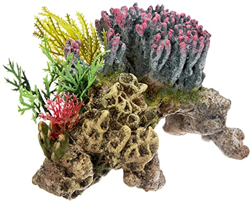 Nobby Piedra de coral con plantas ornamentales de acuario, 15,5 x 9 x 10,5 cm
