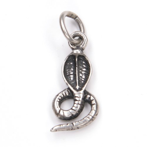 Drachensilber Cobra Schmuck Anhänger Schlange 925 Sterling Silber Kettenanhänger Silberschmuck