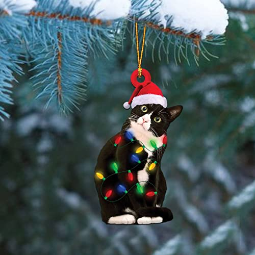 Dantazz Weihnachtsschmuck Weihnachten Katze Eichhörnchen Ornament Acryl Tier-Figur Hängende Dekoration Weihnachtsbaum Ornament Christbaumschmuck Weihnachtsanhänger Weihnachten Deko (S, OneSize)