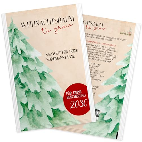 Nordmanntanne zum Pflanzen - Weihnachtsbaum Samen für dein Christbaum 2029 - Tannensamen als Adventskalender Füllung, Kleinigkeit zu Weihnachten oder Wichtelgeschenk für Frauen und Männer