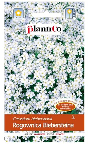 PlantiCo 0,3g Bieberstein Hornkraut Blumensamen für Balkon Terrasse Blühpflanze Staude für prunkvolle Blütenteppiche Frostbeständige Mehrjährige